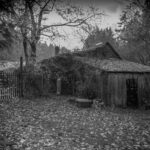 Home Sweet Denman