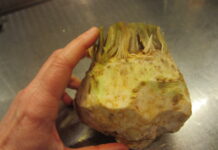 Green Wizardries: This Week in the Garden