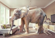 Letter to the Editor