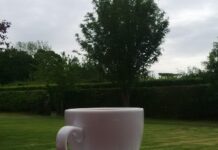 An Unpainted Portrait: Not such a close shave