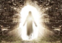 Letter to the Editor