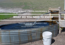 Groundwater Licensing: March Deadline