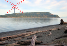 THEY DON’T LIVE HERE ANY MORE