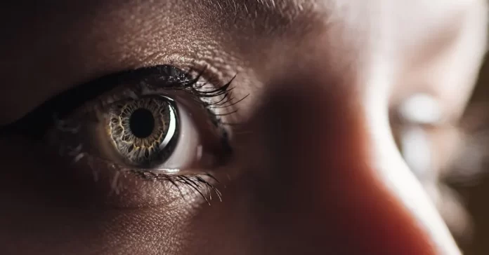 6b38b902-b330-4e36-94d4-1e278ee17bd8_1080x565