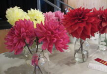 Fall Fair Coming Sooner than you think!