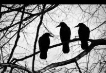 WHAT’S UP WITH HARRY?