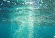 Everyone loves a good mystery