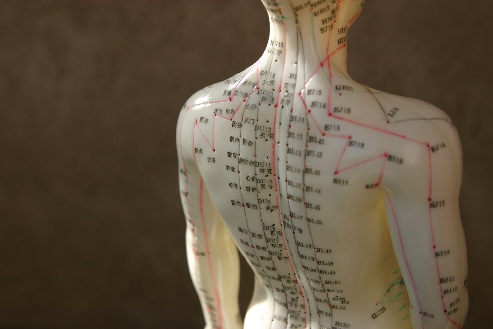 Heartwood Acupuncture