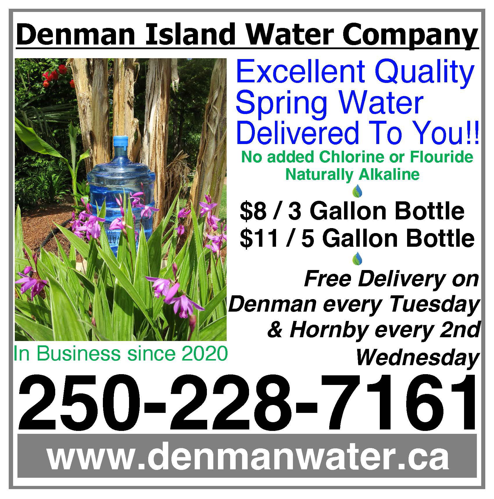 Denman Island Water Company