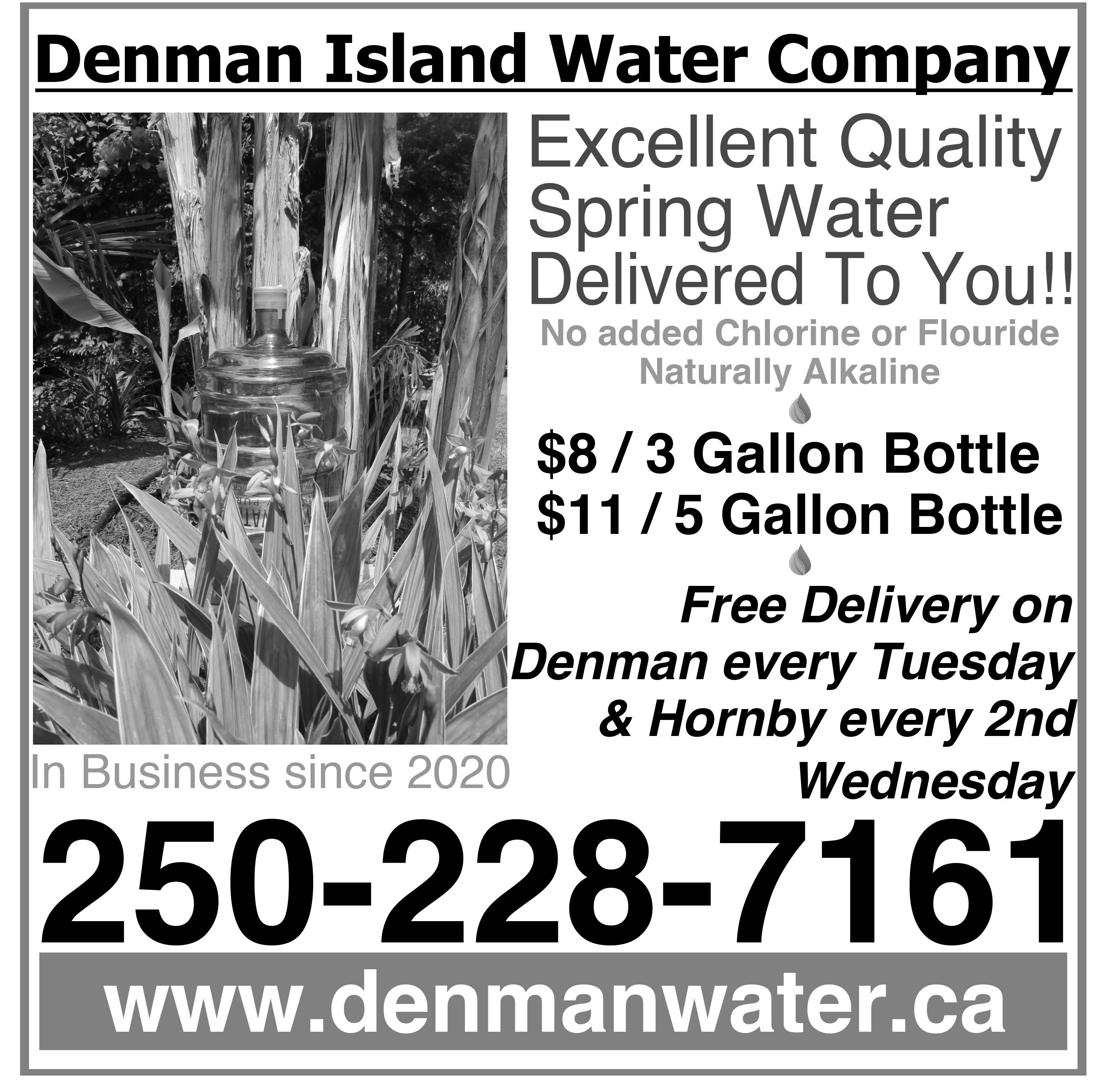 Denman Island Water Company