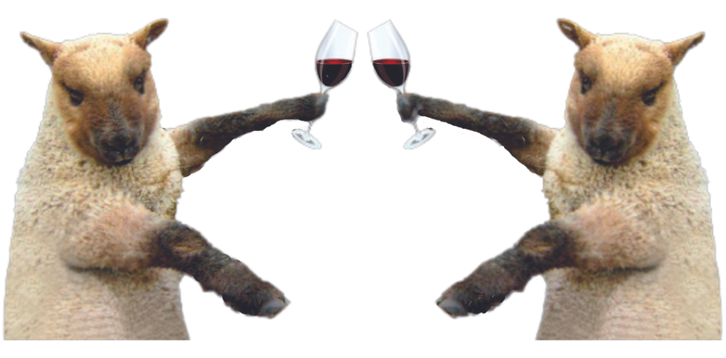 Corlan Vineyard