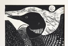 Flight Lines: Tashi Draper Brings the Beauty of Birds to the Summer Art Gallery