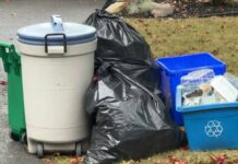 A Few Anecdotes About Garbage