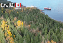 What’s Really Going On in Union Bay?