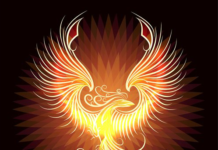 Phoenix Riting! – December 18th, 2025