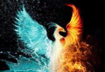 Phoenix Riting! – January 15th, 2026