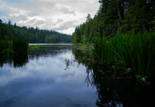 A Fist Full of Water… For A Few Dollars More.