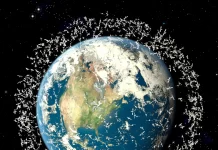 Shucking Oysters: All Creatures Great and Small