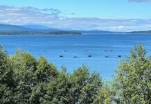 Protect Baynes Sound — Concerns Regarding the Proposed Coastal Gateway Port in Union Bay