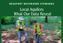 Local aquifers: What Our Data Reveal