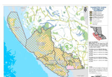 Complete Fire Ban in Effect by BC Wildfire Service