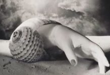 The Unceded Territory of Dreams