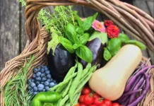 2026 Blackberry Faire’s Show What You Grow Harvest Display Contest