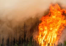Shucking Oysters: The World is Burning