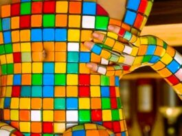 Such a puzzle will never be fully solved