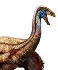 Dinosaur Bone Found on Denman Island