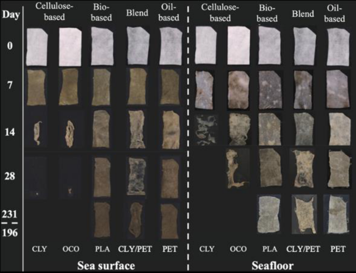 1748:Degradation_of_PLA_in_Seawater