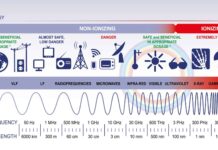 You May Be Ignoring EMFs but EMFs Are Not Ignoring You