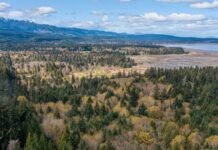 Comox Valley, Nanaimo land trusts raising funds to support Deep Bay land conservation purchase
