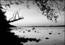East Shore, Denman Island