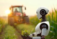 Food Insecurity and the Loss of Denman’s Farmland