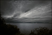 Last Light Over the Salish Sea